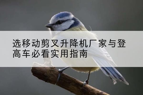 甘德电动升降机厂家-选移动剪叉升降机厂家与登高车必看实用指南