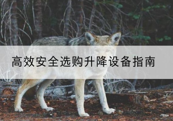 甘德升降货梯厂家推荐-*安全选购升降设备指南