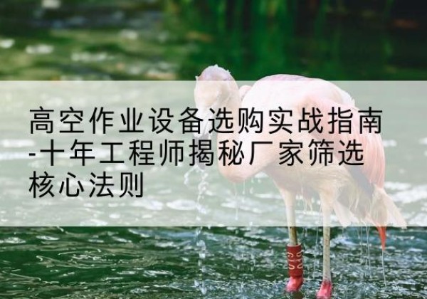 甘德剪叉式升降机厂家-高空作业设备选购实战指南-十年工程师揭秘厂家筛选核心法则